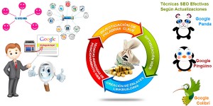 curso seo